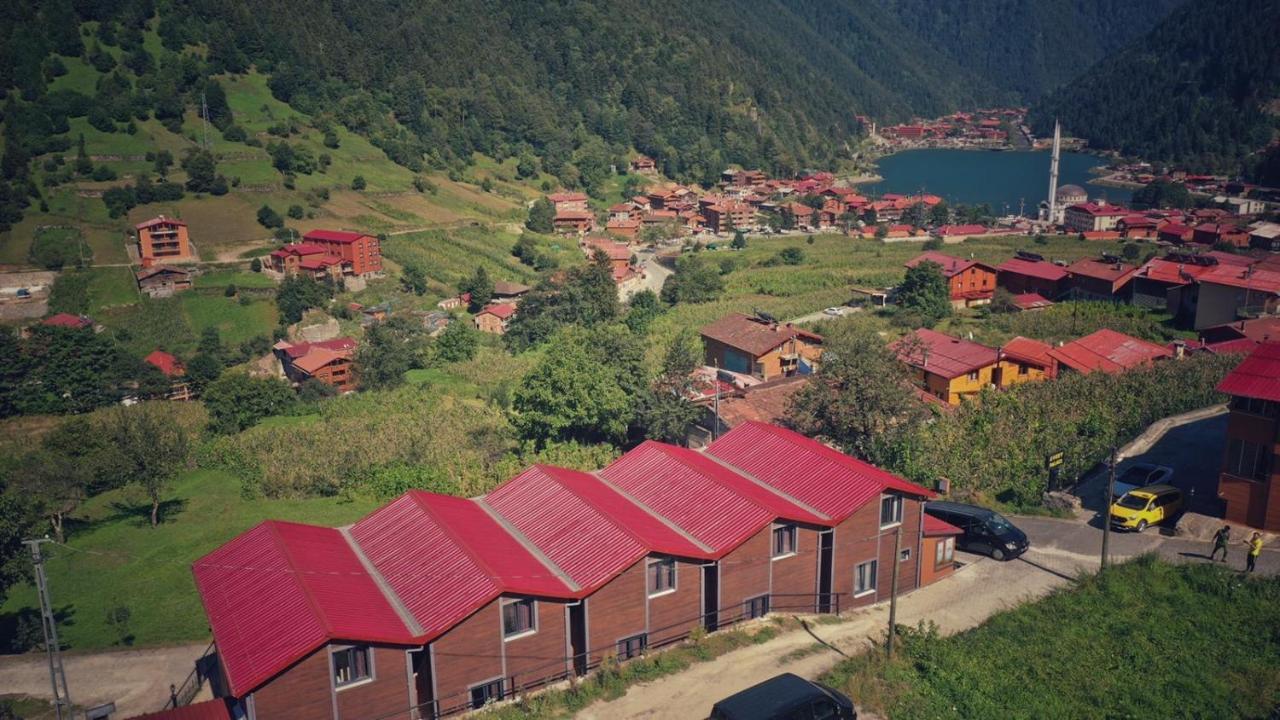 Horio Villa Uzungöl Kültér fotó